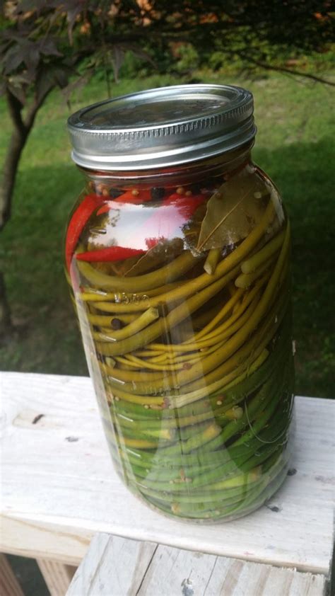 Pickled Garlic Scapes (refrigerator method) - Wholistic Woman