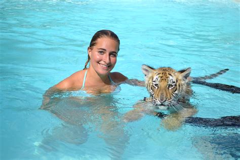 Pin on Swim with a Tiger