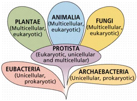 Domains & Kingdoms - Biology 11