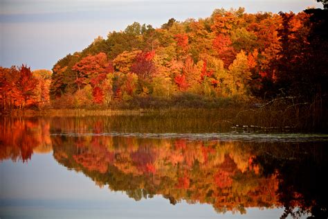 Fall Colors in Wisconsin | Fall colors, Wisconsin, Painting