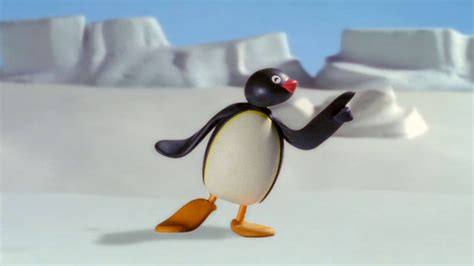 [100+] Pingu Wallpapers | Wallpapers.com