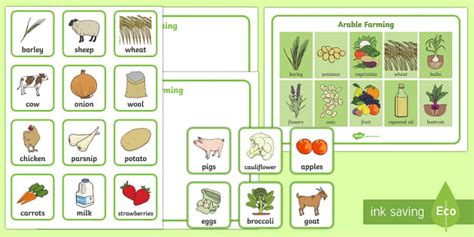 Types of Farming in the UK | Farms for Kids | Twinkl