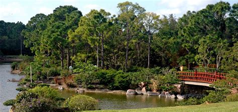 Palm Beach Morikami Museum and Japanese Gardens