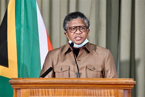 Transport Minister Fikile Mbalula 'deeply saddened' by tragic death of ...