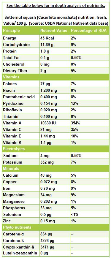 8 amazing nutrition facts and health benefits of Butternut squash