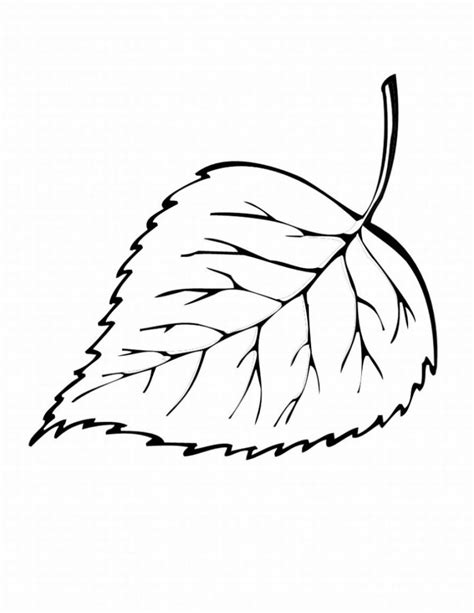 Free Printable Leaf Coloring Pages For Kids