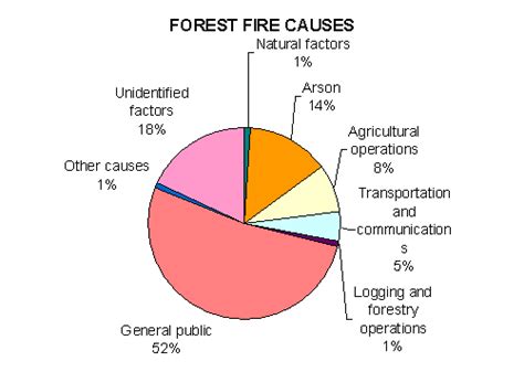 GLOBAL FOREST FIRE ASSESSMENT 1990-2000 - FRA WP 55