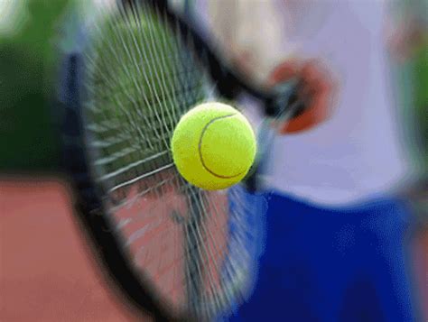 Tennis GIF - Find & Share on GIPHY