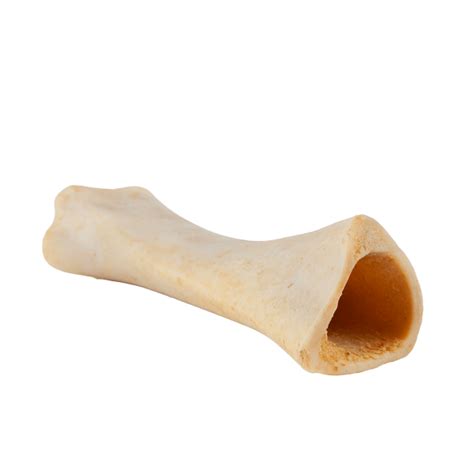 Are Large Beef Bones Safe For Dogs