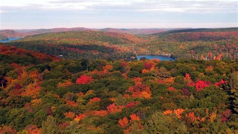 Pin on Fall Colors In Algonquin 2012