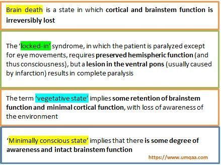 Diagnostic criteria for brain death – Artofit