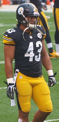 Troy Polamalu - Wikipedia