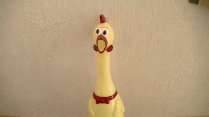 Rubber Chicken GIFs | Tenor