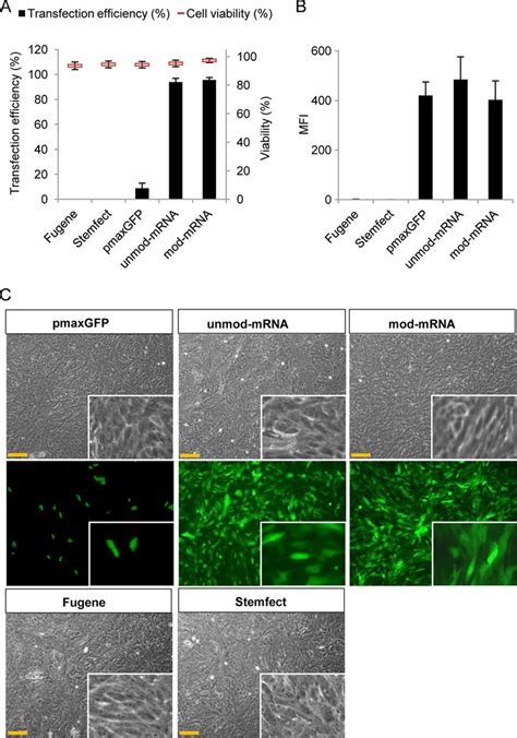 Comparison of the efficiency of plasmid-based and mRNAbased ...