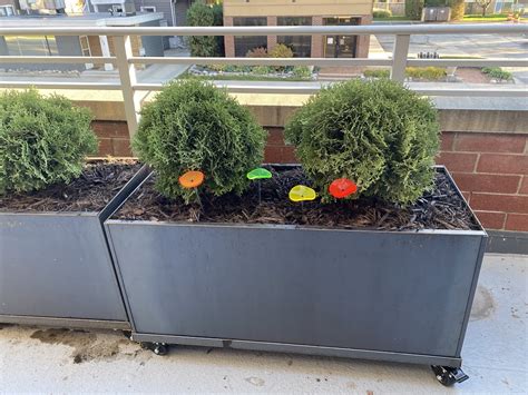 Corten Trough on Casters - Nice Planter - Space To Grow