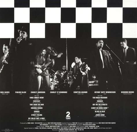 The Selecter: Too Much Pressure (40th Anniversary Edition) (180g) (1 LP ...