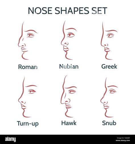 Different Nose Types