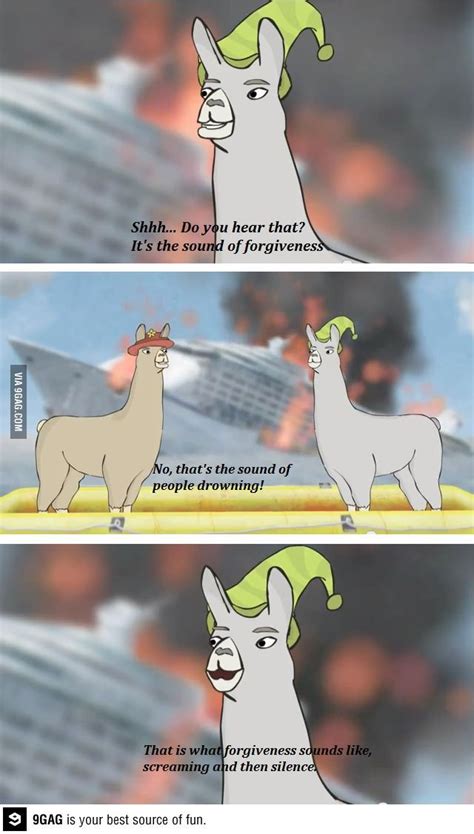 The Sound of forgiveness - Funny | Funny, Llamas with hats, Lamas with hats