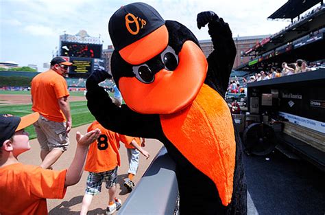 The Oriole Bird - Baltimore Orioles - SportMascots.com