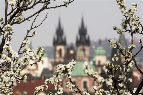 Spring Prague | Copyright-free photo (by M. Vorel) | LibreShot