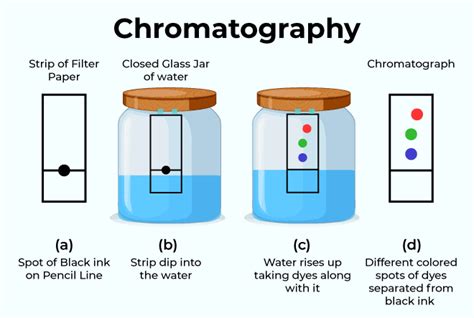 Chromatography