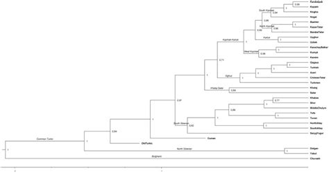 The maximum credibility tree for the Turkic family. | Download ...