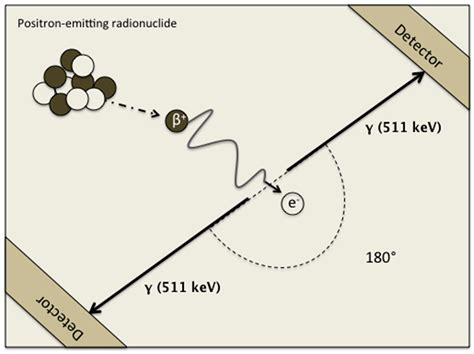 Medicina | Free Full-Text | Positron Emission Tomography in the ...