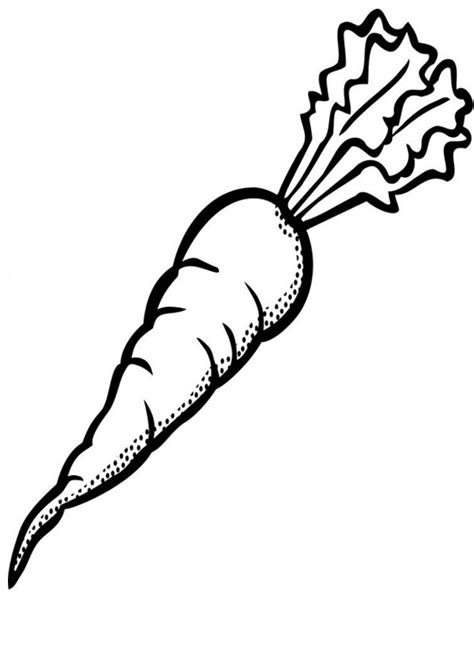 Coloring Pages | Carrot Coloring Page for Kids