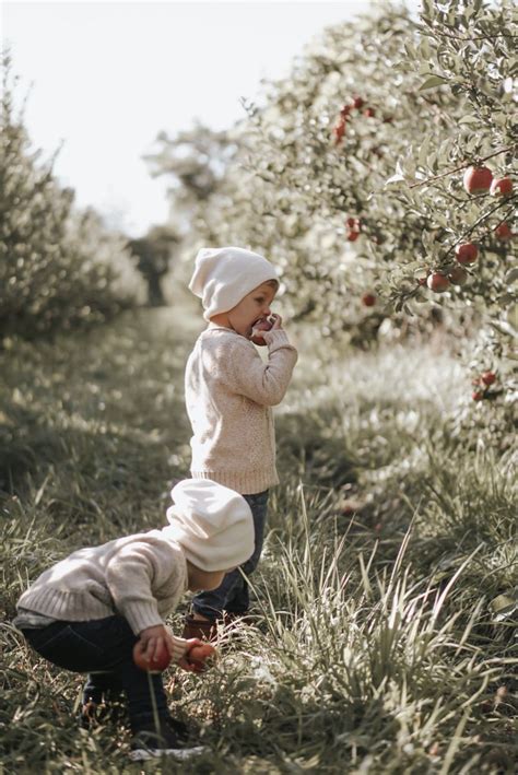 Fall apple picking picture inspo Fall Apple Picking Pictures, Motherhood Journey, Fall Apples ...