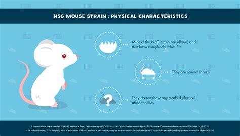 NSG Mouse Strain Characteristics - Maze Engineers