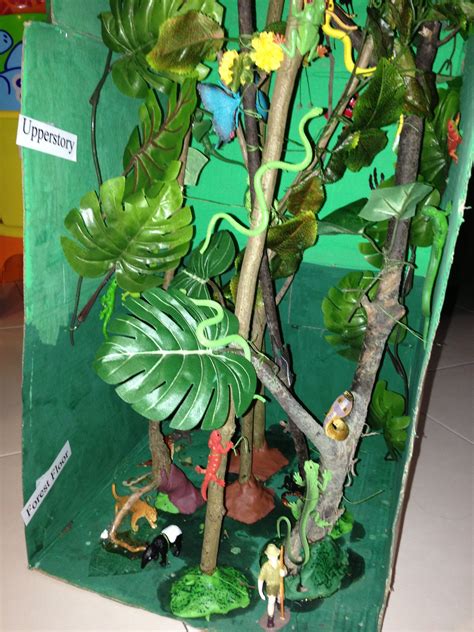 creating trees for a rainforest biome box - Google Search | Rainforest ...
