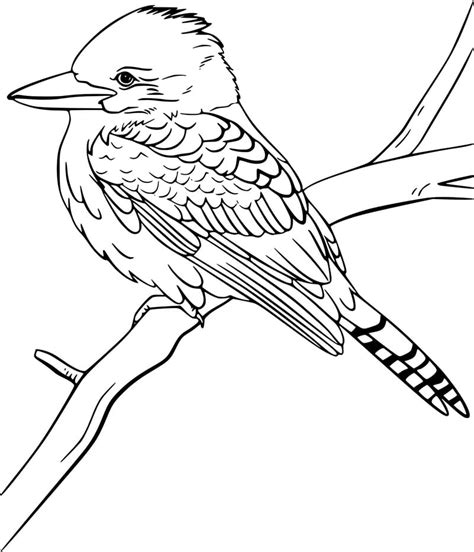 Kookaburra Printable Coloring Page - Free Printable Coloring Pages for Kids