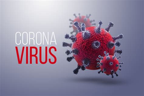 Corona Virus Huisdier - Vogels