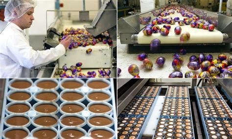 Inside Cadbury's chocolate factory where 1.5m creme eggs are made EVERY DAY | Daily Mail Online