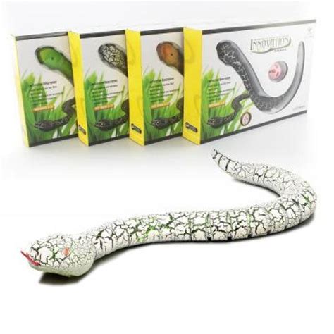 Remote Controlled Snake an Interactive Cat Toy