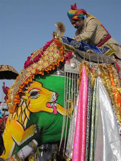 Elephant Festival Jaipur 2024 | Dates, Events, Photos & More