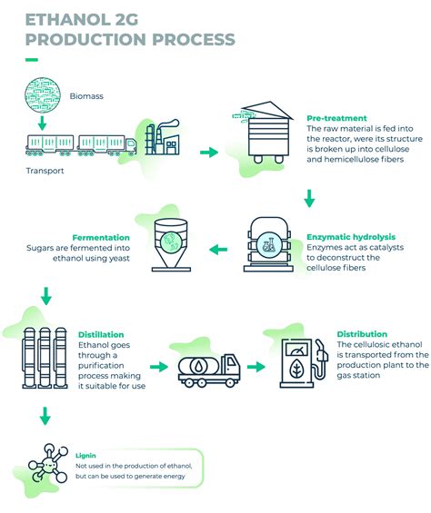 Infographics - SugarCane