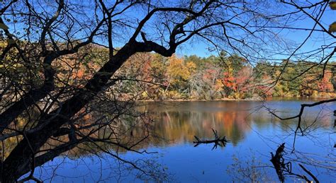 Russell Mill Pond Conservation Area - North and South Rivers Watershed ...