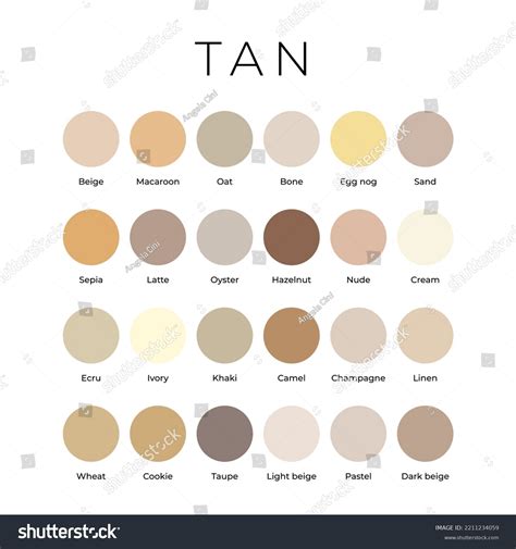 Tan Beige Color Shades Swatches Palette Stock Vector (Royalty Free) 2211234059 | Shutterstock