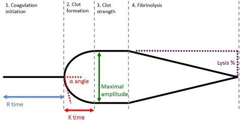 Comparison of Thromboelastography and Conventional Coagulation Tests in ...