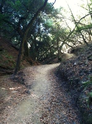 LAKE CHABOT TRAIL CHALLENGE - 10 Photos - 17930 Lake Chabot Rd, Castro ...