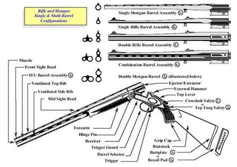 Double Barrel Shotgun Parts Diagram