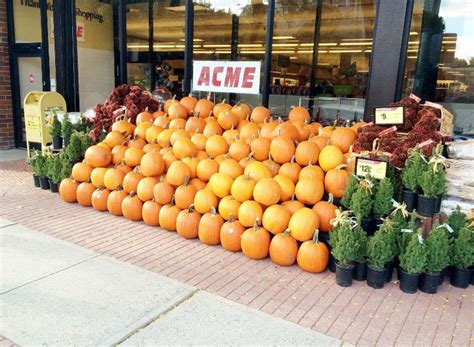 outside the entrance of a grocery store i did | Grocery store, Grocery ...