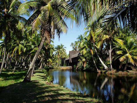 Coco Palms Resort Kauai Restoration