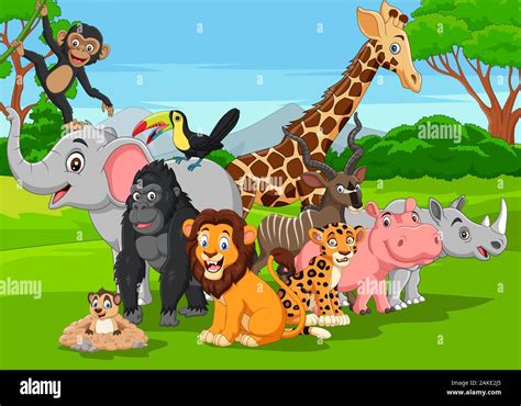 Jungle Cartoon Animals