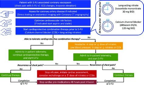 Proposed treatment algorithm for 5-FU (Fluorouracil) coronary vasospasm... | Download Scientific ...