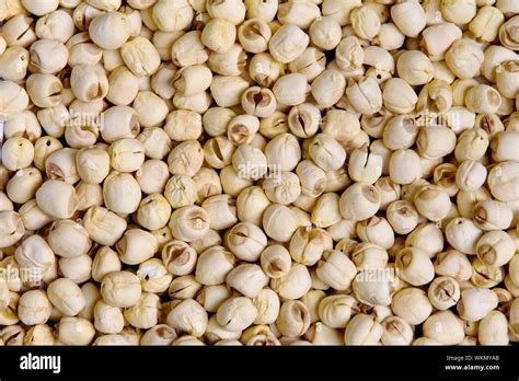 Dried lotus seeds background Stock Photo - Alamy