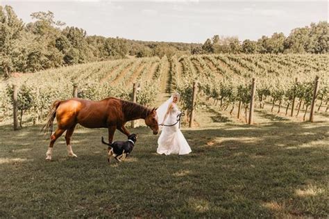 Lovingston Winery - Lovingston, VA - Wedding Venue