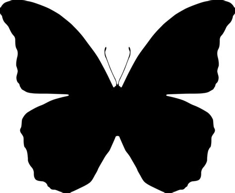 Butterfly Silhouettes - Free Vector Download | Qvectors. | Черно-белое, Чернила, Брошь