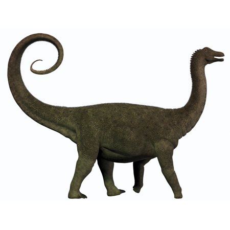 Saltasaurus Facts, Habitat, Diet, Fossils, Pictures